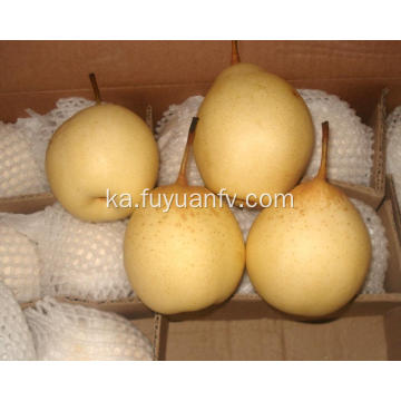 უგემრიელესი ხილის ნაყოფი პერ New Crop Pears